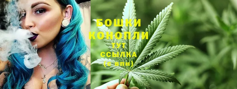 МАРИХУАНА OG Kush  Плавск 